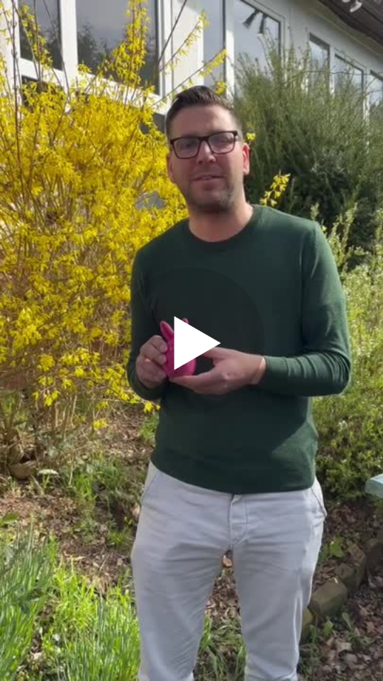 Videovorschau